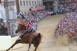 Trecciolino alla curva di San Martini